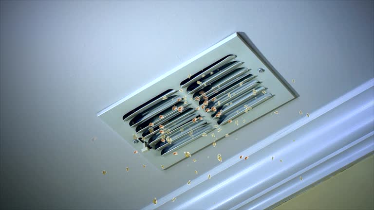 Best Best Air Duct Cleaning Near Me  in Balcones Heights, TX